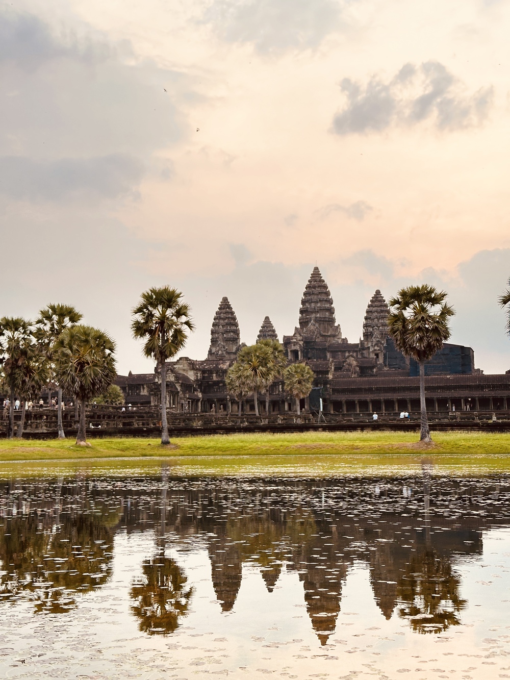 TripAdvisor Travelers Choice Awards