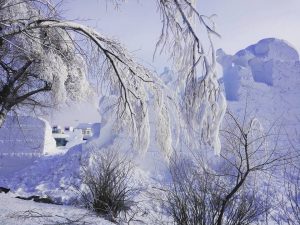 Harbin, a city of ice