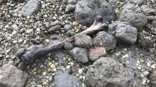 World's worst islands: a femur on Deadman's Island, England.