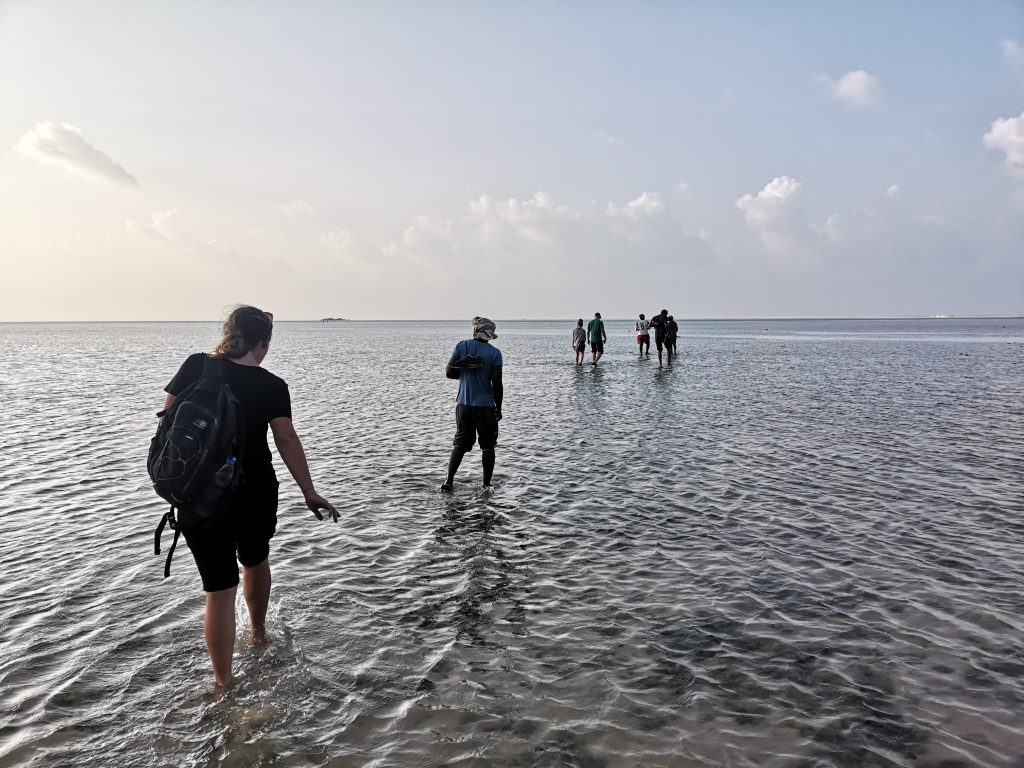 The Detwah Lagoon, on the island of Socotra