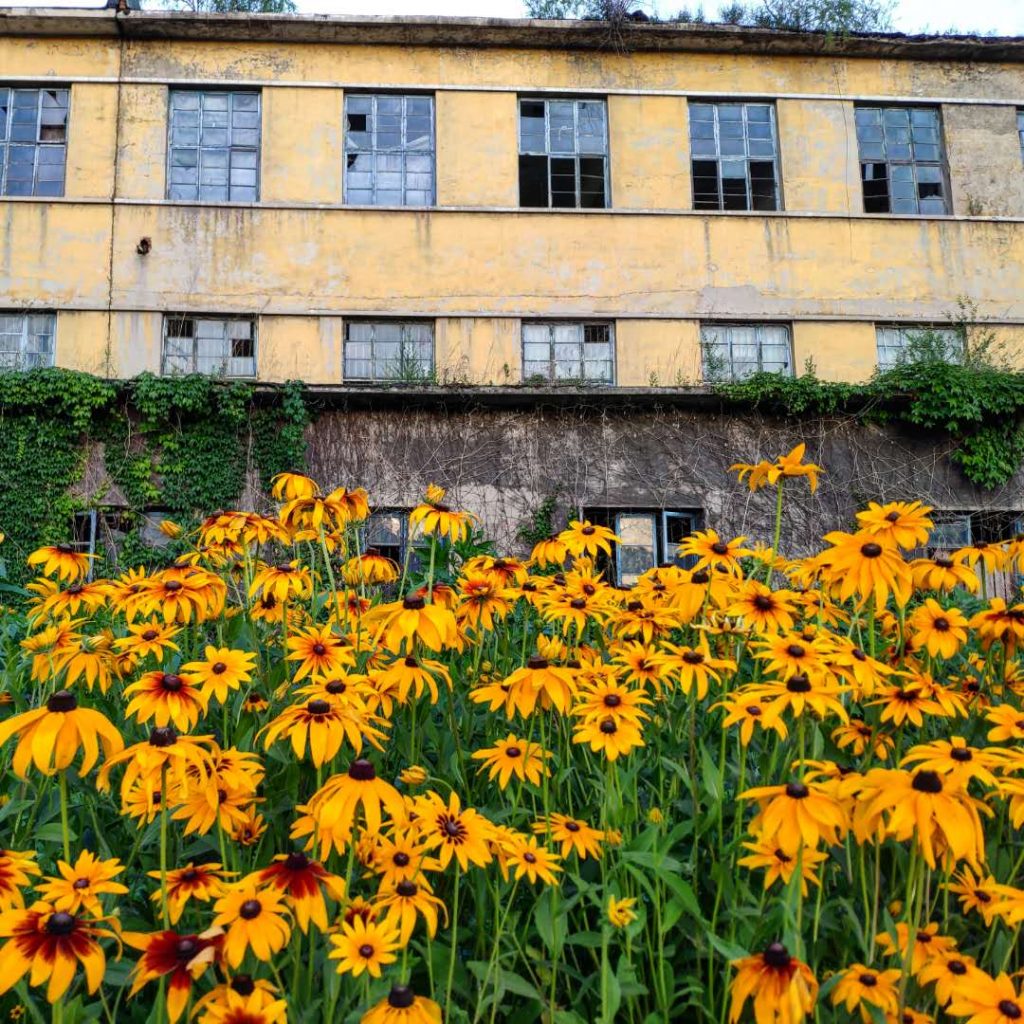 Abandoned factory