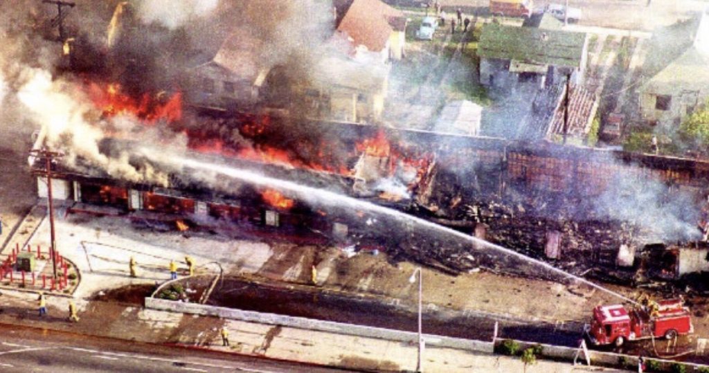 Roof Koreans - rooftop koreans