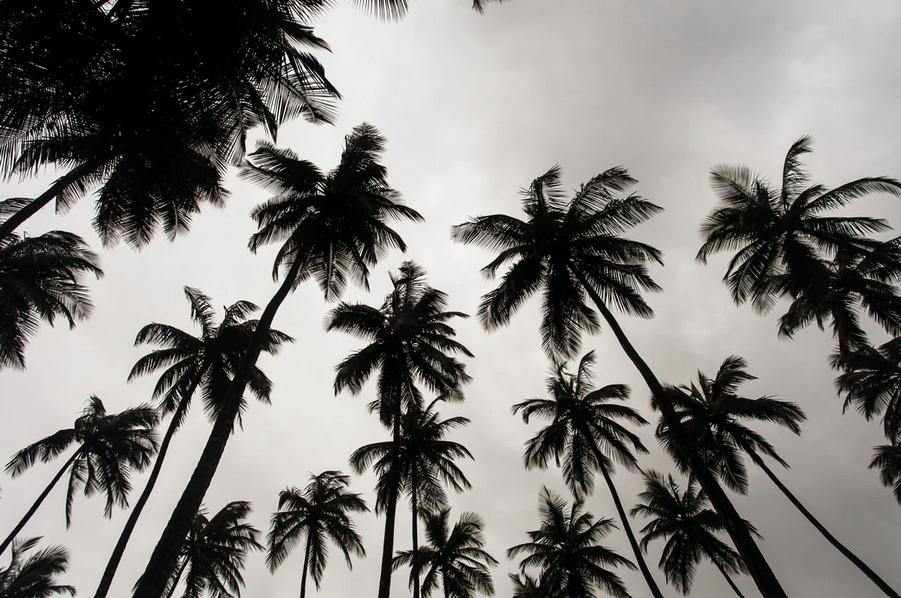 The Safest Countries in Africa to Visit in 2021