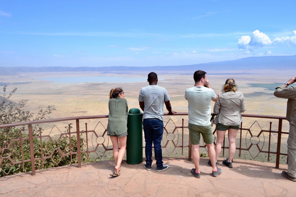 What are the rules for traveling to green, amber and red list countries