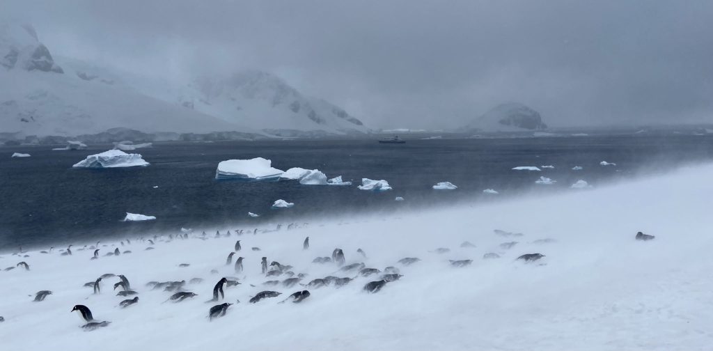 22 interesting facts about visiting Antarctica