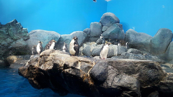 Langkawi: Tropical Bliss Awaits